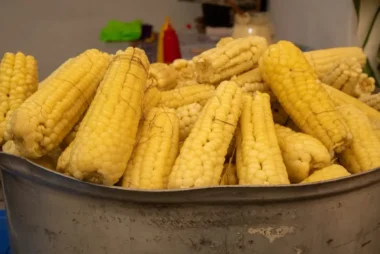 Elote, esquites y mucha música: así será la Feria Nacional del Elote 2026 en San Miguel Topilejo